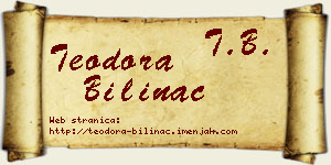 Teodora Bilinac vizit kartica
